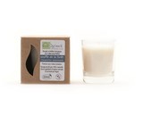 Bougie assainissantes